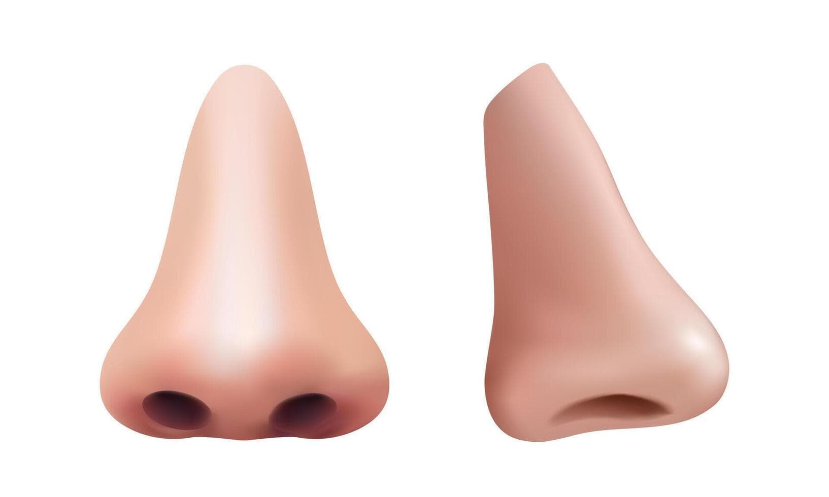 Rinoplastie