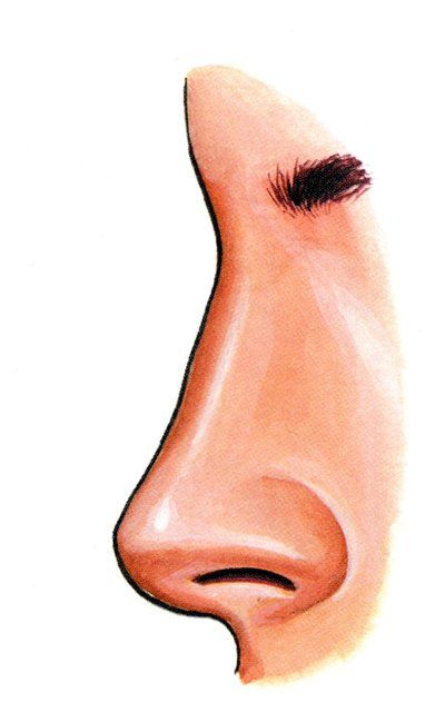Nasal